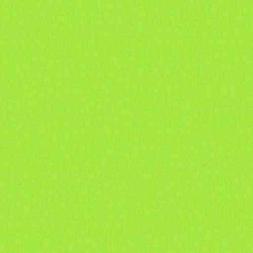 Grasgrün (light green) - 60 gr/m²